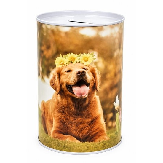 Касичка метал PETS Ф10см х Н15см №FS-053