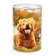 Касичка метал PETS Ф10см х Н15см №FS-053