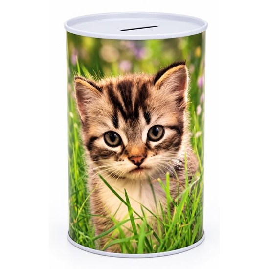 Касичка метал PETS Ф10см х Н15см №FS-053