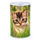 Касичка метал PETS Ф10см х Н15см №FS-053