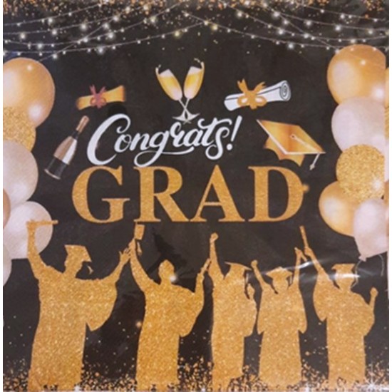 Салфетки 20 броя в плик 33x33см Congrats GRAD
